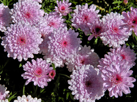 422720 (a): :1600x1200